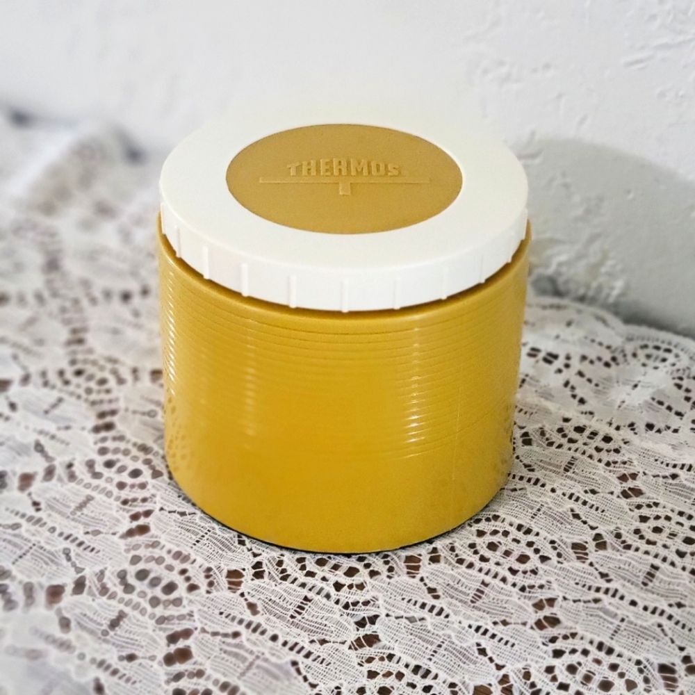 VINTAGE ✨️ Thermos Plastic Insulated Container